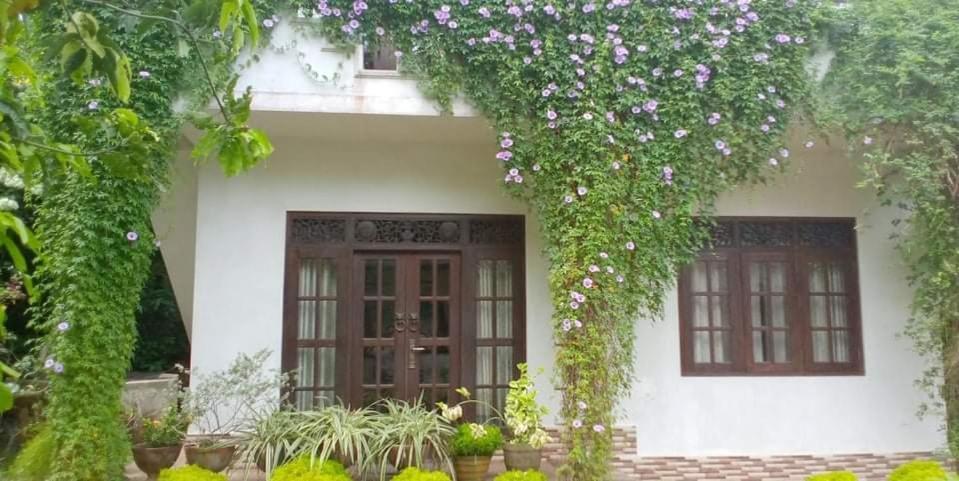 Abha Villa Galle Exteriör bild
