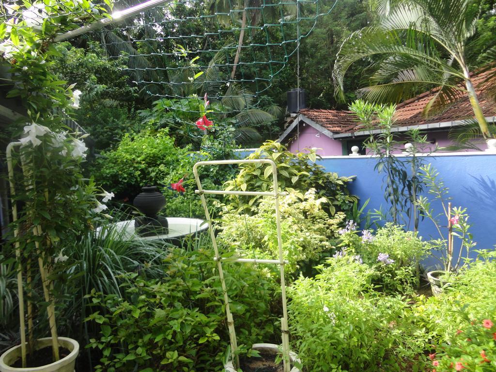 Abha Villa Galle Exteriör bild